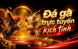 Giao diện Đá Gà laurelbankshop